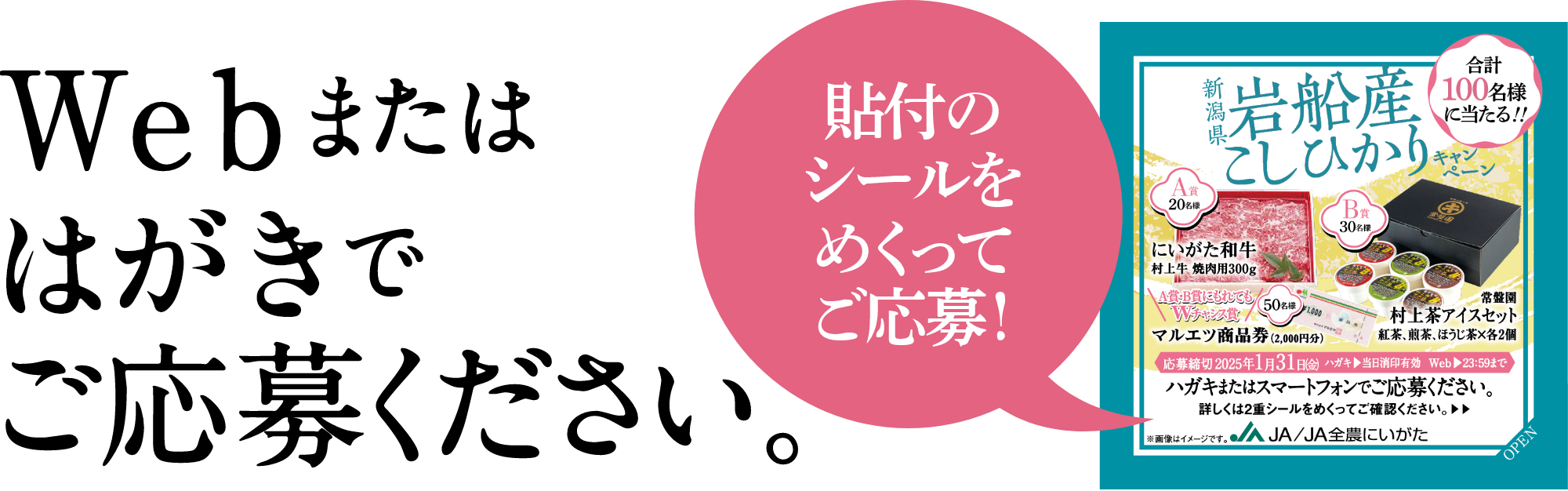 Webまたははがきでご応募ください。貼付のシールをめくってご応募！